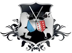 Logo of SSVT
