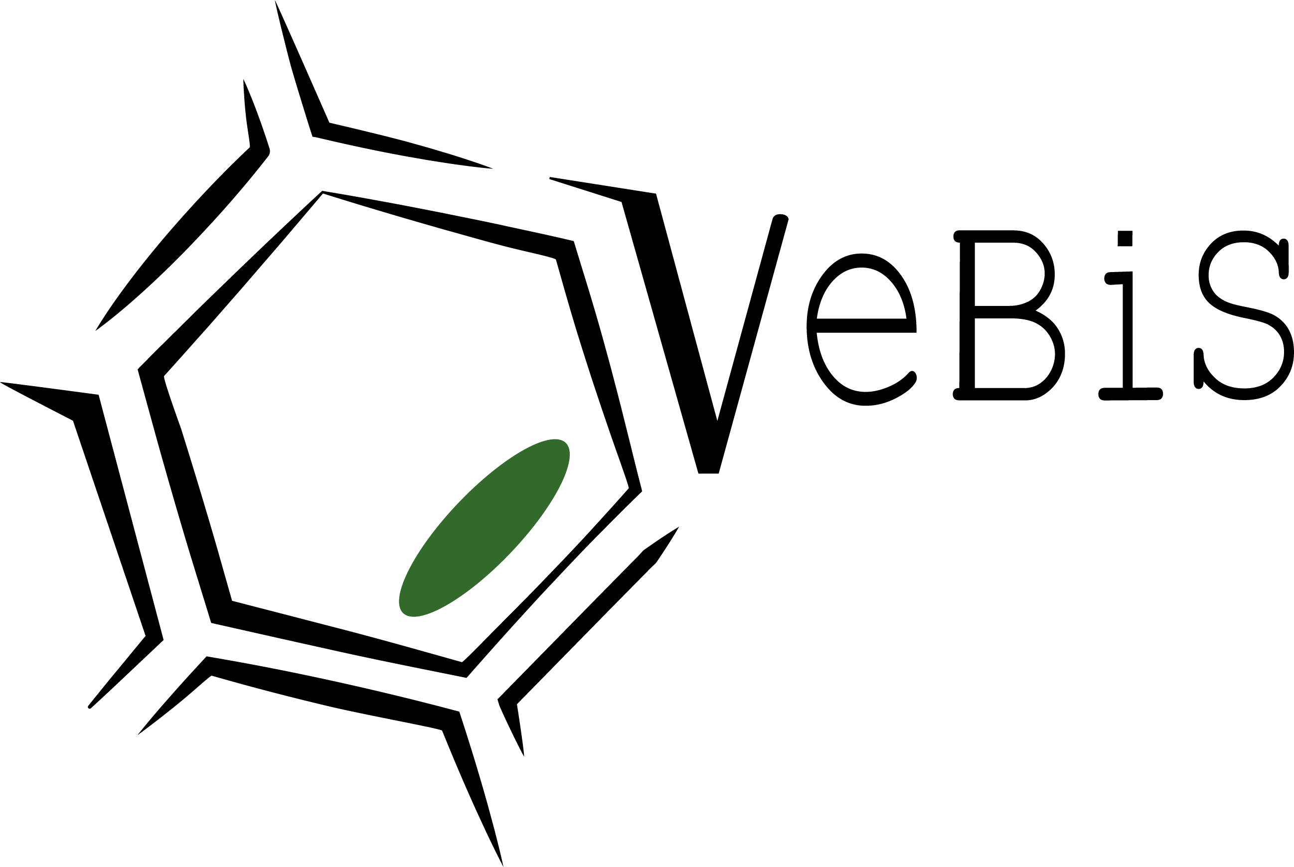 Logo of VeBiS